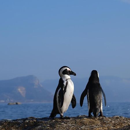 Penguin Haven . Luxury 2 Bedroom, Boulders Beach. เคปทาวน์ ภายนอก รูปภาพ