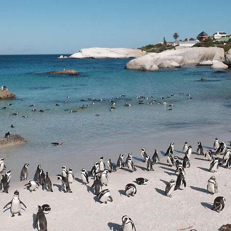 Penguin Haven . Luxury 2 Bedroom, Boulders Beach. เคปทาวน์ ภายนอก รูปภาพ